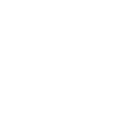 icons8-instagram-old-250