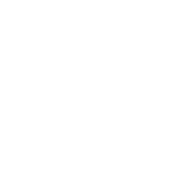 icons8-twitter-240